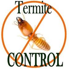 Termite Control, termite control services in Thika, termite control chemicals, termite control company in Thika, termite control proffesionals in Thika Nairobi