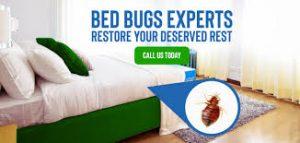 fumigation companies in kenya, Bed Bugs Control Treatment Price, Cockroaches Control and Treatment Price, Bees Control and Removal Price, Termite Control and Treatment Prices in Kenya