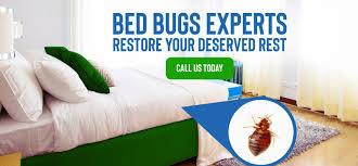 pesticides that kill bed bugs in kenya