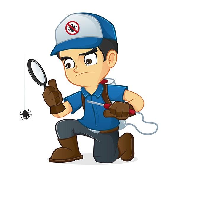 Pest Control and Fumigation Companies in kenya