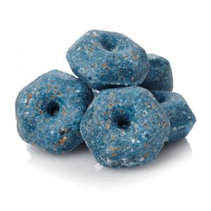 Pest Control and Fumigation Companies in kenya