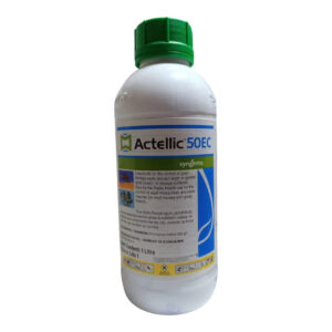 Actellic 50 EC Grain Storage Insecticide, actellic 50 ec safety data sheet, actellic 50 ec shelf life, actellic 50 ec resistance, actellic bed bug spray, actellic plus spray, actellic 50 ec, actellic 50ec, actellic insecticide, actellic chemical, actellic pesticide, actellic kenya, actellic price kenya, actellic 50 ec price, actellic 50 ec 1 litre, actellic 50 ec 500ml, actellic for sale kenya, actellic bed bug spray review, actellic aerosol insecticide, actellic spray for fleas, actellic insecticide kenya, actellic insecticide price in kenya, actellic spray for bed bugs, actellic bed bug killer, actellic insecticide for fleas, actellic insecticide msds, actellic insecticide label, actellic insecticide for sale, actellic for maize, maize storage chemical, maize weevil pesticide, maize weevil treatment, grain storage insecticide, insecticide for stored grain