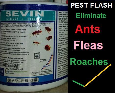 Sevin Dudu Dust Insecticide