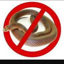 SNAKES CONTROL SERVICES IN NAIROBI KENYA, Snakes Control, snake repellent chemicals in kenya, snake repellent