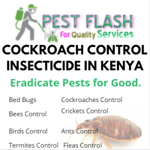 Bed Bugs and Cockroach Insecticides in Kenya, Cockroach control insecticide in Kenya