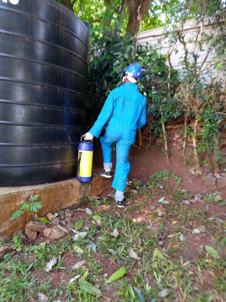 PEST CONTROL SERVICES IN NAKURU FUMIGATION SERVICES IN NAKURU KENYA 0719405401 GET TRUSTED & RELIABLE PEST CONTROL SERVICES IN NAKURU AND FUMIGATION SERVICES IN NAKURU KENYA FROM THE BEST PEST CONTROL EXPYERTS, Fumigation services in Kenya, Pest control services in Kenya, Fumigation services in Nairobi Kenya, pest control in Kenya, Kenya pest control services, Kenya fumigation services, Kenya pest, Kenya fumigation, Kenya pest control, pest control, pest control in Kenya, fumigation services in Nairobi Kenya, fumigation in Kenya, pest control service, fumigation and pest control services. pest control company, pests control in Kenya with all its pest control services in Kenya, pest control services Kenya, pest control services in Mombasa, pest control services Nairobi & general Kenya pest extermination services guaranteed, pest Nairobi, pest control services in Kisumu, pest control services in Nairobi Kenya control services in Kenya. Get pest control services in Kenya, pest control services in Kenya, pest fumigation pest control services fumigation pest Kenya, pest control services, pest control services in Mombasa Kenya with guarantee of pest elimination instantly. pest control board, professional guaranteed fumigation services, pest control services, pests extermination services, pests elimination services, pest eradication services, insect pest control services, insect extermination. Pest control in Nairobi, pest control in Nairobi Kenya both residential homes . cockroaches control services, bed bugs control services, bed bugs extermination services, termites control services, bats control services, snakes control services, rodents, rats & mice control services, feral cats control services, fleas control services, flies control services, mosquitoes control services, dust mites control services, spiders control services, jiggers control services, birds control services, ants control services, bees & wasps control services, pantry pests control services, moths control services, woodworm control services, general pest spraying and other related technical pest management services. Pest, pest control, pest control services, fumigation services, pest control services in Kenya, Jopestkil, fumigation companies in Kenya, pest control companies in Kenya, pest control services in Kitengela, fumigation services in Thika, fumigation services near me, fumigation services prices in Kenya. Fumigation services in Kenya, pest control services in Kenya, fumigation services in Nairobi Kenya, pest control in Kenya, fumigation in Kenya, fumigation services in Kenya, Kenya fumigation services, Kenya pest control services, pest control services in Nairobi Kenya, Kenya pest, Kenya fumigation, Kenya pest control, pest control, pest, pest control service, fumigation services, pest control services in Kenya, Jopestkil, expert fumigation services in Kenya, fumigation companies in Kenya, fumigation services in Nairobi Kenya, pest control in Nairobi Kenya, pest control companies in Kenya, fumigation and pest control services, bedbugs control services in Kenya, cockroaches control services in Kenya, bats control services in Kenya, termites control services in Kenya, fleas control services in Kenya, ants, rats, flies, mosquitoes, mites, feral cats, pests management in Kenya Nairobi, fumigation in Kenya, fumigation services in Nairobi, fumigation services in Kenya, fumigation services cost, fumigation services in Kitengela, fumigation services in Thika, fumigation services near me, fumigation services prices in Kenya, Pests, Termite, Termites, Pest control services, Bed bug, Rodents, Bed bugs, Bugs, Bug, Ants, Termite control, Insects, Inspection, Control company, Rodent, Cockroaches, Infestation, Pest control company, Pest control service, Commercial pest control, Integrated pest management services, Mosquitoes, Ant, Exterminator, Integrated pest management, Insect, Pest free, Mosquito, Fleas, Rodent control, Residential pest control, Protect your home, Pest solutions, fumigation and pest control services Kenya. Effective and Guaranteed Pest Control Service Providers, PEST CONTROL SERVICES IN THIKA, FUMIGATION SERVICES IN THIKA, BEES CONTROL SERVICES IN THIKA, BED BUGS CONTROL SERVICES IN THIKA, TERMITE CONTROL SERVICES IN THIKA, COCKROACH CONTROL SERVICES IN THIKA, PEST CONTROL SERVICES IN KIAMBU, FUMIGATION SERVICES IN KIAMBU, BEES CONTROL SERVICES IN KIAMBU, BED BUGS CONTROL SERVICES IN KIAMBU, TERMITE CONTROL SERVICES IN KIAMBU, COCKROACH CONTROL SERVICES IN KIAMBU, PEST CONTROL SERVICES IN KIAMBU, PEST CONTROL SERVICES IN MERU, FUMIGATION SERVICES IN MERU, BEES CONTROL SERVICES IN MERU, BED BUGS CONTROL SERVICES IN MERU, TERMITE CONTROL SERVICES IN MERU, COCKROACH CONTROL SERVICES IN MERU, PEST CONTROL SERVICES IN MERU, PEST CONTROL SERVICES IN MACHAKOS, FUMIGATION SERVICES IN MACHAKOS, BEES CONTROL SERVICES IN MACHAKOS, BED BUGS CONTROL SERVICES IN MACHAKOS, TERMITE CONTROL SERVICES IN MACHAKOS, COCKROACH CONTROL SERVICES IN MACHAKOS, PEST CONTROL SERVICES IN MACHAKOS, PEST CONTROL SERVICES IN NAIROBI, FUMIGATION SERVICES IN NAIROBI, BEES CONTROL SERVICES IN NAIROBI, BED BUGS CONTROL SERVICES IN NAIROBI, TERMITE CONTROL SERVICES IN NAIROBI, COCKROACH CONTROL SERVICES IN NAIROBI, PEST CONTROL SERVICES IN NAIROBI, PEST CONTROL SERVICES IN KENYA, FUMIGATION SERVICES IN KENYA, BEES CONTROL SERVICES IN KENYA, BED BUGS CONTROL SERVICES IN KENYA, TERMITE CONTROL SERVICES IN KENYA, COCKROACH CONTROL SERVICES IN KENYA, PEST CONTROL SERVICES IN KENYA, PEST CONTROL SERVICES IN MERU, FUMIGATION SERVICES IN MERU, BEES CONTROL SERVICES IN MERU, BED BUGS CONTROL SERVICES IN MERU, TERMITE CONTROL SERVICES IN MERU, COCKROACH CONTROL SERVICES IN MERU, PEST CONTROL SERVICES IN MERU, FUMIGATION SERVICE COST IN KENYA, FUMIGATION COST IN KENYA, FUMIGATION PRICES IN KENYA, FUMIGATION PRICE IN NAIROBI, PEST CONTROL CHARGES IN KENYA, PEST CONTROL COST IN KENYA, FUMIGATION CHARGE IN MOMBASA, BEES removal service Near Me, BEES removal service in Kenya, BEES removal service chemical, BEES removal Chemical, TERMITE CONTROL PESTICIDE KENYA, TERMITE CONTROL IN KENYA, TERMITE CONTROL INSECTICIDE, BEST INSECCTICIDE TO KILL BED BUGS IN KENYA, BEST CHEMICAL FOR BEDBUGS IN KENYA, BEST CHEMICAL FOR TERMITES IN KENYA, PEST CONTROL SERVICES IN KITENGELA, FUMIGATION SERVICES IN KITENGELA, BEES CONTROL SERVICES IN KITENGELA, BED BUGS CONTROL SERVICES IN KITENGELA, TERMITE CONTROL SERVICES IN KITENGELA, COCKROACH CONTROL SERVICES IN KITENGELA, PEST CONTROL SERVICES IN KITENGELA, FUMIGATION SERVICE COST IN KENYA, FUMIGATION COST IN KENYA, FUMIGATION PRICES IN KENYA, FUMIGATION PRICE IN NAIROBI, PEST CONTROL CHARGES IN KENYA, PEST CONTROL COST IN KENYA, PEST CONTROL SERVICES IN KITENGELA, FUMIGATION SERVICES IN KITENGELA, BEES CONTROL SERVICES IN KITENGELA, BED BUGS CONTROL SERVICES IN KITENGELA, TERMITE CONTROL SERVICES IN KITENGELA, COCKROACH CONTROL SERVICES IN KITENGELA, PEST CONTROL SERVICES IN KITENGELA, FUMIGATION SERVICE COST IN KENYA, FUMIGATION COST IN KENYA, FUMIGATION PRICES IN KENYA, FUMIGATION PRICE IN NAIROBI, PEST CONTROL CHARGES IN KENYA, PEST CONTROL COST IN KENYA FUMIGATION CHARGE IN MOMBASA, BEES removal service Near Me, BEES removal service in Kenya, BEES removal service chemical, BEES removal Chemical, TERMITE CONTROL PESTICIDE KENYA, TERMITE CONTROL IN KENYA, TERMITE CONTROL INSECTICIDE, BEST CHEMICAL FOR BED BUGS IN KENYA, BEST INSECTICIDE TO KILL BED BUGS, BEST INSECTICIDE FOR BED BUGS IN KENYA,,Guaranteed Exterminators, PEST CONTROL SERVICES IN MERU, FUMIGATION SERVICES IN MERU, BEES CONTROL SERVICES IN MERU, BED BUGS CONTROL SERVICES IN MERU, TERMITE CONTROL SERVICES IN MERU, COCKROACH CONTROL SERVICES IN MERU, PEST CONTROL SERVICES IN MERU, FUMIGATION SERVICE COST IN KENYA, FUMIGATION COST IN KENYA, FUMIGATION PRICES IN KENYA, FUMIGATION PRICE IN NAIROBI, PEST CONTROL CHARGES IN KENYA, PEST CONTROL COST IN KENYA, PEST CONTROL SERVICES IN KITENGELA, FUMIGATION SERVICES IN KITENGELA, BEES CONTROL SERVICES IN KITENGELA, BED BUGS CONTROL SERVICES IN KITENGELA, TERMITE CONTROL SERVICES IN KITENGELA, COCKROACH CONTROL SERVICES IN KITENGELA, PEST CONTROL SERVICES IN KITENGELA, FUMIGATION SERVICE COST IN KENYA, FUMIGATION COST IN KENYA, FUMIGATION PRICES IN KENYA, FUMIGATION PRICE IN NAIROBI, PEST CONTROL CHARGES IN KENYA, PEST CONTROL COST IN KENYA FUMIGATION CHARGE IN MOMBASA, BEES removal service Near Me, BEES removal service in Kenya, BEES removal service chemical, BEES removal Chemical, TERMITE CONTROL PESTICIDE KENYA, TERMITE CONTROL IN KENYA, TERMITE CONTROL INSECTICIDE, BEST CHEMICAL FOR BED BUGS IN KENYA, BEST INSECTICIDE TO KILL BED BUGS, BEST INSECTICIDE FOR BED BUGS IN KENYA, PEST CONTROL SERVICES IN KENYA, PEST CONTROL SERVICES NEAR ME, FUMIGATION SERVICES NEAR ME, BED BUGS CONTROL SERVICES NEAR ME, BEDBUGS CONTROL SERVICES NEAR ME, BED BUGS CONTROL NEAR ME, BED BUGS CONTROL SERVICE NEAR ME, COCKORACHES CONTROL SERVICES NEAR ME, COCKROACH CONTROL SERVICES NEAR ME, RATS CONTROL SERVICES NEAR ME, RATS CONTROL SERVICE NEAR ME, BEES CONTROL SERVICES NEAR ME, BEES CONTROL SERVICE NEAR ME, BATS CONTROL SERVICES NEAR ME, BATS CONTROL SERVICES NEAR ME, WASPS CONTROL SERVICES NEAR ME, WASPS CONTROL IN KENYA, BEES CONTROL IN KENYA, BEES CONTROL IN NAIROBI, HOW MUCH DOES FUMIGATION COST, HOW MUCH DOES PEST CONTROL COST IN KENYA, HOW MUCH IS IT TO CONTROL BED BUGS, CLEANING AGENCIES IN KENYA, CLEANING COMPANIES IN KENYA, CLEANING, CLEANING COMPANIES IN NAIROBI, PEST CONTROL SERVICES IN MACHAKOS, FUMIGATION IN MACHAKOS, PEST CONTROL IN MACHAKOS, BED BUGS CONTROL SERVICES IN MACHAKOS, BEDBUGS CONTROL IN MACHAKOS, BEDBUGS CONTROL IN MACHAKOS, COCKROACH CONTROL IN MACHAKOS, COCKROACHES CONTROL SERVICES IN MACHAKOS, WASPS CONTROL IN MACHAKOS, WASPS CONTROL SERVICES IN MACHAKOS, RATS CONTROL SERVICES IN MACHAKOS, RATS CONTROL IN MACHAKOS, BEES CONTROL SERVICES IN MACHAKOS, BEES CONTROL IN MACHAKOS, BEST PEST CONTROL SERVICES IN MACHAKOS, TOP PEST CONTROL IN MACHAKOS, MICE CONTROL IN MACHAKOS, FUMIGATION IN MACHAKOS COUNTY, BEST PEST CONTROL IN MACHAKOS COUNTY, ANTS CONTROL IN MACHAKOS, ANTS CONTROL IN HOUSE, ANTS CONTROL SERVICES IN MACHAKOS, FLIES CONTROL SERVICES IN MACHAKOS, FLIES CONTROL IN MACHAKOS, TERMITE CONTROL CHEMICAL IN MACHAKOS, TERMITE CONTROL IN KENYA, TERMITE CONTROL CHEMICALS IN KENYA, TERMITE CONTROL IN MACHAKOS, TERMITE CONTROL NEAR ME, ANTS CONTROL NEAR ME, FLIES CONTROL NEAR ME, PEST CONTROL SERVICES IN NAIROBI, FUMIGATION IN NAIROBI, PEST CONTROL IN NAIROBI, BED BUGS CONTROL SERVICES IN NAIROBI, BEDBUGS CONTROL IN NAIROBI, BEDBUGS CONTROL IN NAIROBI, COCKROACH CONTROL IN NAIROBI, COCKROACHES CONTROL SERVICES IN NAIROBI, WASPS CONTROL IN NAIROBI, WASPS CONTROL SERVICES IN NAIROBI, RATS CONTROL SERVICES IN NAIROBI, RATS CONTROL IN NAIROBI, BEES CONTROL SERVICES IN NAIROBI, BEES CONTROL IN NAIROBI, BEST PEST CONTROL SERVICES IN NAIROBI, TOP PEST CONTROL IN NAIROBI, MICE CONTROL IN NAIROBI, FUMIGATION IN NAIROBI COUNTY, BEST PEST CONTROL IN NAIROBI COUNTY, ANTS CONTROL IN NAIROBI, ANTS CONTROL IN HOUSE, ANTS CONTROL SERVICES IN NAIROBI, FLIES CONTROL SERVICES IN NAIROBI, FLIES CONTROL IN NAIROBI, TERMITE CONTROL CHEMICAL IN NAIROBI, TERMITE CONTROL IN KENYA, TERMITE CONTROL CHEMICALS IN KENYA, TERMITE CONTROL IN NAIROBI, TERMITE CONTROL NEAR ME, ANTS CONTROL NEAR ME, FLIES CONTROL NEAR ME, PEST CONTROL SERVICES IN MLOLONGO, FUMIGATION IN MLOLONGO, PEST CONTROL IN MLOLONGO, BED BUGS CONTROL SERVICES IN MLOLONGO, BEDBUGS CONTROL IN MLOLONGO, BEDBUGS CONTROL IN MLOLONGO, COCKROACH CONTROL IN MLOLONGO, COCKROACHES CONTROL SERVICES IN MLOLONGO, WASPS CONTROL IN MLOLONGO, WASPS CONTROL SERVICES IN MLOLONGO, RATS CONTROL SERVICES IN MLOLONGO, RATS CONTROL IN MLOLONGO, BEES CONTROL SERVICES IN MLOLONGO, BEES CONTROL IN MLOLONGO, BEST PEST CONTROL SERVICES IN MLOLONGO, TOP PEST CONTROL IN MLOLONGO, MICE CONTROL IN MLOLONGO, FUMIGATION IN MLOLONGO COUNTY, BEST PEST CONTROL IN MLOLONGO COUNTY, ANTS CONTROL IN MLOLONGO, ANTS CONTROL IN HOUSE, ANTS CONTROL SERVICES IN MLOLONGO, FLIES CONTROL SERVICES IN MLOLONGO, FLIES CONTROL IN MLOLONGO, TERMITE CONTROL CHEMICAL IN MLOLONGO, TERMITE CONTROL IN KENYA, TERMITE CONTROL CHEMICALS IN KENYA, TERMITE CONTROL IN MLOLONGO, TERMITE CONTROL NEAR ME, ANTS CONTROL NEAR ME, FLIES CONTROL NEAR ME, PEST CONTROL SERVICES IN KISUMU, FUMIGATION IN KISUMU, PEST CONTROL IN KISUMU, BED BUGS CONTROL SERVICES IN KISUMU, BEDBUGS CONTROL IN KISUMU, BEDBUGS CONTROL IN KISUMU, COCKROACH CONTROL IN KISUMU, COCKROACHES CONTROL SERVICES IN KISUMU, WASPS CONTROL IN KISUMU, WASPS CONTROL SERVICES IN KISUMU, RATS CONTROL SERVICES IN KISUMU, RATS CONTROL IN KISUMU, BEES CONTROL SERVICES IN KISUMU, BEES CONTROL IN KISUMU, BEST PEST CONTROL SERVICES IN KISUMU, TOP PEST CONTROL IN KISUMU, MICE CONTROL IN KISUMU, FUMIGATION IN KISUMU COUNTY, BEST PEST CONTROL IN KISUMU COUNTY, ANTS CONTROL IN KISUMU, ANTS CONTROL IN HOUSE, ANTS CONTROL SERVICES IN KISUMU, FLIES CONTROL SERVICES IN KISUMU, FLIES CONTROL IN KISUMU, TERMITE CONTROL CHEMICAL IN KISUMU, TERMITE CONTROL IN KENYA, TERMITE CONTROL CHEMICALS IN KENYA, TERMITE CONTROL IN KISUMU, TERMITE CONTROL NEAR ME, ANTS CONTROL NEAR ME, FLIES CONTROL NEAR ME, PEST CONTROL SERVICES IN THIKA, FUMIGATION IN THIKA, PEST CONTROL IN THIKA, BED BUGS CONTROL SERVICES IN THIKA, BEDBUGS CONTROL IN THIKA, BEDBUGS CONTROL IN THIKA, COCKROACH CONTROL IN THIKA, COCKROACHES CONTROL SERVICES IN THIKA, WASPS CONTROL IN THIKA, WASPS CONTROL SERVICES IN THIKA, RATS CONTROL SERVICES IN THIKA, RATS CONTROL IN THIKA, BEES CONTROL SERVICES IN THIKA, BEES CONTROL IN THIKA, BEST PEST CONTROL SERVICES IN THIKA, TOP PEST CONTROL IN THIKA, MICE CONTROL IN THIKA, FUMIGATION IN THIKA COUNTY, BEST PEST CONTROL IN THIKA COUNTY, ANTS CONTROL IN THIKA, ANTS CONTROL IN HOUSE, ANTS CONTROL SERVICES IN THIKA, FLIES CONTROL SERVICES IN THIKA, FLIES CONTROL IN THIKA, TERMITE CONTROL CHEMICAL IN THIKA, TERMITE CONTROL IN KENYA, TERMITE CONTROL CHEMICALS IN KENYA, TERMITE CONTROL IN THIKA, TERMITE CONTROL NEAR ME, ANTS CONTROL NEAR ME, FLIES CONTROL NEAR ME, PEST CONTROL SERVICES IN LIMURU, FUMIGATION IN LIMURU, PEST CONTROL IN LIMURU, BED BUGS CONTROL SERVICES IN LIMURU, BEDBUGS CONTROL IN LIMURU, BEDBUGS CONTROL IN LIMURU, COCKROACH CONTROL IN LIMURU, COCKROACHES CONTROL SERVICES IN LIMURU, WASPS CONTROL IN LIMURU, WASPS CONTROL SERVICES IN LIMURU, RATS CONTROL SERVICES IN LIMURU, RATS CONTROL IN LIMURU, BEES CONTROL SERVICES IN LIMURU, BEES CONTROL IN LIMURU, BEST PEST CONTROL SERVICES IN LIMURU, TOP PEST CONTROL IN LIMURU, MICE CONTROL IN LIMURU, FUMIGATION IN LIMURU COUNTY, BEST PEST CONTROL IN LIMURU COUNTY, ANTS CONTROL IN LIMURU, ANTS CONTROL IN HOUSE, ANTS CONTROL SERVICES IN LIMURU, FLIES CONTROL SERVICES IN LIMURU, FLIES CONTROL IN LIMURU, TERMITE CONTROL CHEMICAL IN LIMURU, TERMITE CONTROL IN KENYA, TERMITE CONTROL CHEMICALS IN KENYA, TERMITE CONTROL IN LIMURU, TERMITE CONTROL NEAR ME, ANTS CONTROL NEAR ME, FLIES CONTROL NEAR ME, PEST CONTROL SERVICES IN BAMBURI MOMBASA, FUMIGATION IN BAMBURI MOMBASA, PEST CONTROL IN BAMBURI MOMBASA, BED BUGS CONTROL SERVICES IN BAMBURI MOMBASA, BEDBUGS CONTROL IN BAMBURI MOMBASA, BEDBUGS CONTROL IN BAMBURI MOMBASA, COCKROACH CONTROL IN BAMBURI MOMBASA, COCKROACHES CONTROL SERVICES IN BAMBURI MOMBASA, WASPS CONTROL IN BAMBURI MOMBASA, WASPS CONTROL SERVICES IN BAMBURI MOMBASA, RATS CONTROL SERVICES IN BAMBURI MOMBASA, RATS CONTROL IN BAMBURI MOMBASA, BEES CONTROL SERVICES IN BAMBURI MOMBASA, BEES CONTROL IN BAMBURI MOMBASA, BEST PEST CONTROL SERVICES IN BAMBURI MOMBASA, TOP PEST CONTROL IN BAMBURI MOMBASA, MICE CONTROL IN BAMBURI MOMBASA, FUMIGATION IN BAMBURI MOMBASA COUNTY, BEST PEST CONTROL IN BAMBURI MOMBASA COUNTY, ANTS CONTROL IN BAMBURI MOMBASA, ANTS CONTROL IN HOUSE, ANTS CONTROL SERVICES IN BAMBURI MOMBASA, FLIES CONTROL SERVICES IN BAMBURI MOMBASA, FLIES CONTROL IN BAMBURI MOMBASA, TERMITE CONTROL CHEMICAL IN BAMBURI MOMBASA, TERMITE CONTROL IN KENYA, TERMITE CONTROL CHEMICALS IN KENYA, TERMITE CONTROL IN BAMBURI MOMBASA, TERMITE CONTROL NEAR ME, ANTS CONTROL NEAR ME, FLIES CONTROL NEAR ME, HOTEL FUMIGATION IN BAMBURI MOMBASA, HOTEL FUMIGATION SERVICES IN BAMBURI MOMBASA, HOTEL FUMIGATION SERVICES, FLIES CONTROL IN HOTEL, FLIES CONTROL IN A CAFÉ, FLIES CONTROL IN RESTAURANT, BEST PESTICIDE FOR BED BUGS, BEST INSECTICIDES FO BED BUGS IN BAMBURI MOMBASA, BEST PESTCIDE FOR BED BUGS IN BAMBURI MOMBASA, termite control chemicals, termite control chemicals in BAMBURI MOMBASA, TERMITE INSECTICIDE, TERMITE CONTROL INSECTICIDE IN BAMBURI MOMBASA, TERMITE CONTROL CHEMICALS IN BAMBURI MOMBASA, TERMITE CONTROL IN CONSTRUCTION, TERMITE CONTROL IN BAMBURI MOMBASA, TERMITES CONTROL IN BAMBURI MOMBASA, bed bugs control services in Nairobi, Bed bugs Control in Nairobi, HOTEL FUMIGATION IN KENYA, HOTEL FUMIGATION SERVICES IN KENYA, HOTEL FUMIGATION SERVICES, FLIES CONTROL IN HOTEL, FLIES CONTROL IN A CAFÉ, FLIES CONTROL IN RESTAURANT, BEST PESTICIDE FOR BED BUGS, BEST INSECTICIDES FO BED BUGS IN KENYA, BEST PESTCIDE FOR BED BUGS IN KENYA, termite control chemicals, termite control chemicals in KENYA, TERMITE INSECTICIDE, TERMITE CONTROL INSECTICIDE IN KENYA, TERMITE CONTROL CHEMICALS IN KENYA, TERMITE CONTROL IN CONSTRUCTION, TERMITE CONTROL IN KENYA, TERMITES CONTROL IN KENYA, bed bugs control services in Nairobi, Bed bugs Control in NairobiFumigation services in Kenya, Pest control services in Kenya, Fumigation services in Nairobi Kenya, pest control in Kenya, Kenya pest control services, Kenya fumigation services, Kenya pest, Kenya fumigation, Kenya pest control, pest control, pest control in Kenya, fumigation services in Nairobi Kenya, fumigation in Kenya, pest control service, fumigation and pest control services. pest control company, pests control in Kenya with all its pest control services in Kenya, pest control services Kenya, pest control services in Mombasa, pest control services Nairobi & general Kenya pest extermination services guaranteed, pest Nairobi, pest control services in Kisumu, pest control services in Nairobi Kenya control services in Kenya. Get pest control services in Kenya, pest control services in Kenya, pest fumigation pest control services fumigation pest Kenya, pest control services, pest control services in Mombasa Kenya with guarantee of pest elimination instantly. pest control board, professional guaranteed fumigation services, pest control services, pests extermination services, pests elimination services, pest eradication services, insect pest control services, insect extermination. Pest control in Nairobi, pest control in Nairobi Kenya both residential homes . cockroaches control services, bed bugs control services, bed bugs extermination services, termites control services, bats control services, snakes control services, rodents, rats & mice control services, feral cats control services, fleas control services, flies control services, mosquitoes control services, dust mites control services, spiders control services, jiggers control services, birds control services, ants control services, bees & wasps control services, pantry pests control services, moths control services, woodworm control services, general pest spraying and other related technical pest management services. Pest, pest control, pest control services, fumigation services, pest control services in Kenya, Jopestkil, fumigation companies in Kenya, pest control companies in Kenya, pest control services in Kitengela, fumigation services in Thika, fumigation services near me, fumigation services prices in Kenya. Fumigation services in Kenya, pest control services in Kenya, fumigation services in Nairobi Kenya, pest control in Kenya, fumigation in Kenya, fumigation services in Kenya, Kenya fumigation services, Kenya pest control services, pest control services in Nairobi Kenya, Kenya pest, Kenya fumigation, Kenya pest control, pest control, pest, pest control service, fumigation services, pest control services in Kenya, Jopestkil, expert fumigation services in Kenya, fumigation companies in Kenya, fumigation services in Nairobi Kenya, pest control in Nairobi Kenya, pest control companies in Kenya, fumigation and pest control services, bedbugs control services in Kenya, cockroaches control services in Kenya, bats control services in Kenya, termites control services in Kenya, fleas control services in Kenya, ants, rats, flies, mosquitoes, mites, feral cats, pests management in Kenya Nairobi, fumigation in Kenya, fumigation services in Nairobi, fumigation services in Kenya, fumigation services cost, fumigation services in Kitengela, fumigation services in Thika, fumigation services near me, fumigation services prices in Kenya, Pests, Termite, Termites, Pest control services, Bed bug, Rodents, Bed bugs, Bugs, Bug, Ants, Termite control, Insects, Inspection, Control company, Rodent, Cockroaches, Infestation, Pest control company, Pest control service, Commercial pest control, Integrated pest management services, Mosquitoes, Ant, Exterminator, Integrated pest management, Insect, Pest free, Mosquito, Fleas, Rodent control, Residential pest control, Protect your home, Pest solutions, fumigation and pest control services Kenya. Effective and Guaranteed Pest Control Service Providers, PEST CONTROL SERVICES IN THIKA, FUMIGATION SERVICES IN THIKA, BEES CONTROL SERVICES IN THIKA, BED BUGS CONTROL SERVICES IN THIKA, TERMITE CONTROL SERVICES IN THIKA, COCKROACH CONTROL SERVICES IN THIKA, PEST CONTROL SERVICES IN KIAMBU, FUMIGATION SERVICES IN KIAMBU, BEES CONTROL SERVICES IN KIAMBU, BED BUGS CONTROL SERVICES IN KIAMBU, TERMITE CONTROL SERVICES IN KIAMBU, COCKROACH CONTROL SERVICES IN KIAMBU, PEST CONTROL SERVICES IN KIAMBU, PEST CONTROL SERVICES IN MERU, FUMIGATION SERVICES IN MERU, BEES CONTROL SERVICES IN MERU, BED BUGS CONTROL SERVICES IN MERU, TERMITE CONTROL SERVICES IN MERU, COCKROACH CONTROL SERVICES IN MERU, PEST CONTROL SERVICES IN MERU, PEST CONTROL SERVICES IN MACHAKOS, FUMIGATION SERVICES IN MACHAKOS, BEES CONTROL SERVICES IN MACHAKOS, BED BUGS CONTROL SERVICES IN MACHAKOS, TERMITE CONTROL SERVICES IN MACHAKOS, COCKROACH CONTROL SERVICES IN MACHAKOS, PEST CONTROL SERVICES IN MACHAKOS, PEST CONTROL SERVICES IN NAIROBI, FUMIGATION SERVICES IN NAIROBI, BEES CONTROL SERVICES IN NAIROBI, BED BUGS CONTROL SERVICES IN NAIROBI, TERMITE CONTROL SERVICES IN NAIROBI, COCKROACH CONTROL SERVICES IN NAIROBI, PEST CONTROL SERVICES IN NAIROBI, PEST CONTROL SERVICES IN KENYA, FUMIGATION SERVICES IN KENYA, BEES CONTROL SERVICES IN KENYA, BED BUGS CONTROL SERVICES IN KENYA, TERMITE CONTROL SERVICES IN KENYA, COCKROACH CONTROL SERVICES IN KENYA, PEST CONTROL SERVICES IN KENYA, PEST CONTROL SERVICES IN MERU, FUMIGATION SERVICES IN MERU, BEES CONTROL SERVICES IN MERU, BED BUGS CONTROL SERVICES IN MERU, TERMITE CONTROL SERVICES IN MERU, COCKROACH CONTROL SERVICES IN MERU, PEST CONTROL SERVICES IN MERU, FUMIGATION SERVICE COST IN KENYA, FUMIGATION COST IN KENYA, FUMIGATION PRICES IN KENYA, FUMIGATION PRICE IN NAIROBI, PEST CONTROL CHARGES IN KENYA, PEST CONTROL COST IN KENYA, FUMIGATION CHARGE IN MOMBASA, BEES removal service Near Me, BEES removal service in Kenya, BEES removal service chemical, BEES removal Chemical, TERMITE CONTROL PESTICIDE KENYA, TERMITE CONTROL IN KENYA, TERMITE CONTROL INSECTICIDE, BEST INSECCTICIDE TO KILL BED BUGS IN KENYA, BEST CHEMICAL FOR BEDBUGS IN KENYA, BEST CHEMICAL FOR TERMITES IN KENYA, PEST CONTROL SERVICES IN KITENGELA, FUMIGATION SERVICES IN KITENGELA, BEES CONTROL SERVICES IN KITENGELA, BED BUGS CONTROL SERVICES IN KITENGELA, TERMITE CONTROL SERVICES IN KITENGELA, COCKROACH CONTROL SERVICES IN KITENGELA, PEST CONTROL SERVICES IN KITENGELA, FUMIGATION SERVICE COST IN KENYA, FUMIGATION COST IN KENYA, FUMIGATION PRICES IN KENYA, FUMIGATION PRICE IN NAIROBI, PEST CONTROL CHARGES IN KENYA, PEST CONTROL COST IN KENYA, PEST CONTROL SERVICES IN KITENGELA, FUMIGATION SERVICES IN KITENGELA, BEES CONTROL SERVICES IN KITENGELA, BED BUGS CONTROL SERVICES IN KITENGELA, TERMITE CONTROL SERVICES IN KITENGELA, COCKROACH CONTROL SERVICES IN KITENGELA, PEST CONTROL SERVICES IN KITENGELA, FUMIGATION SERVICE COST IN KENYA, FUMIGATION COST IN KENYA, FUMIGATION PRICES IN KENYA, FUMIGATION PRICE IN NAIROBI, PEST CONTROL CHARGES IN KENYA, PEST CONTROL COST IN KENYA FUMIGATION CHARGE IN MOMBASA, BEES removal service Near Me, BEES removal service in Kenya, BEES removal service chemical, BEES removal Chemical, TERMITE CONTROL PESTICIDE KENYA, TERMITE CONTROL IN KENYA, TERMITE CONTROL INSECTICIDE, BEST CHEMICAL FOR BED BUGS IN KENYA, BEST INSECTICIDE TO KILL BED BUGS, BEST INSECTICIDE FOR BED BUGS IN KENYA,,Guaranteed Exterminators, PEST CONTROL SERVICES IN MERU, FUMIGATION SERVICES IN MERU, BEES CONTROL SERVICES IN MERU, BED BUGS CONTROL SERVICES IN MERU, TERMITE CONTROL SERVICES IN MERU, COCKROACH CONTROL SERVICES IN MERU, PEST CONTROL SERVICES IN MERU, FUMIGATION SERVICE COST IN KENYA, FUMIGATION COST IN KENYA, FUMIGATION PRICES IN KENYA, FUMIGATION PRICE IN NAIROBI, PEST CONTROL CHARGES IN KENYA, PEST CONTROL COST IN KENYA, PEST CONTROL SERVICES IN KITENGELA, FUMIGATION SERVICES IN KITENGELA, BEES CONTROL SERVICES IN KITENGELA, BED BUGS CONTROL SERVICES IN KITENGELA, TERMITE CONTROL SERVICES IN KITENGELA, COCKROACH CONTROL SERVICES IN KITENGELA, PEST CONTROL SERVICES IN KITENGELA, FUMIGATION SERVICE COST IN KENYA, FUMIGATION COST IN KENYA, FUMIGATION PRICES IN KENYA, FUMIGATION PRICE IN NAIROBI, PEST CONTROL CHARGES IN KENYA, PEST CONTROL COST IN KENYA FUMIGATION CHARGE IN MOMBASA, BEES removal service Near Me, BEES removal service in Kenya, BEES removal service chemical, BEES removal Chemical, TERMITE CONTROL PESTICIDE KENYA, TERMITE CONTROL IN KENYA, TERMITE CONTROL INSECTICIDE, BEST CHEMICAL FOR BED BUGS IN KENYA, BEST INSECTICIDE TO KILL BED BUGS, BEST INSECTICIDE FOR BED BUGS IN KENYA, PEST CONTROL SERVICES IN KENYA, PEST CONTROL SERVICES NEAR ME, FUMIGATION SERVICES NEAR ME, BED BUGS CONTROL SERVICES NEAR ME, BEDBUGS CONTROL SERVICES NEAR ME, BED BUGS CONTROL NEAR ME, BED BUGS CONTROL SERVICE NEAR ME, COCKORACHES CONTROL SERVICES NEAR ME, COCKROACH CONTROL SERVICES NEAR ME, RATS CONTROL SERVICES NEAR ME, RATS CONTROL SERVICE NEAR ME, BEES CONTROL SERVICES NEAR ME, BEES CONTROL SERVICE NEAR ME, BATS CONTROL SERVICES NEAR ME, BATS CONTROL SERVICES NEAR ME, WASPS CONTROL SERVICES NEAR ME, WASPS CONTROL IN KENYA, BEES CONTROL IN KENYA, BEES CONTROL IN NAIROBI, HOW MUCH DOES FUMIGATION COST, HOW MUCH DOES PEST CONTROL COST IN KENYA, HOW MUCH IS IT TO CONTROL BED BUGS, CLEANING AGENCIES IN KENYA, CLEANING COMPANIES IN KENYA, CLEANING, CLEANING COMPANIES IN NAIROBI, PEST CONTROL SERVICES IN MACHAKOS, FUMIGATION IN MACHAKOS, PEST CONTROL IN MACHAKOS, BED BUGS CONTROL SERVICES IN MACHAKOS, BEDBUGS CONTROL IN MACHAKOS, BEDBUGS CONTROL IN MACHAKOS, COCKROACH CONTROL IN MACHAKOS, COCKROACHES CONTROL SERVICES IN MACHAKOS, WASPS CONTROL IN MACHAKOS, WASPS CONTROL SERVICES IN MACHAKOS, RATS CONTROL SERVICES IN MACHAKOS, RATS CONTROL IN MACHAKOS, BEES CONTROL SERVICES IN MACHAKOS, BEES CONTROL IN MACHAKOS, BEST PEST CONTROL SERVICES IN MACHAKOS, TOP PEST CONTROL IN MACHAKOS, MICE CONTROL IN MACHAKOS, FUMIGATION IN MACHAKOS COUNTY, BEST PEST CONTROL IN MACHAKOS COUNTY, ANTS CONTROL IN MACHAKOS, ANTS CONTROL IN HOUSE, ANTS CONTROL SERVICES IN MACHAKOS, FLIES CONTROL SERVICES IN MACHAKOS, FLIES CONTROL IN MACHAKOS, TERMITE CONTROL CHEMICAL IN MACHAKOS, TERMITE CONTROL IN KENYA, TERMITE CONTROL CHEMICALS IN KENYA, TERMITE CONTROL IN MACHAKOS, TERMITE CONTROL NEAR ME, ANTS CONTROL NEAR ME, FLIES CONTROL NEAR ME, PEST CONTROL SERVICES IN NAIROBI, FUMIGATION IN NAIROBI, PEST CONTROL IN NAIROBI, BED BUGS CONTROL SERVICES IN NAIROBI, BEDBUGS CONTROL IN NAIROBI, BEDBUGS CONTROL IN NAIROBI, COCKROACH CONTROL IN NAIROBI, COCKROACHES CONTROL SERVICES IN NAIROBI, WASPS CONTROL IN NAIROBI, WASPS CONTROL SERVICES IN NAIROBI, RATS CONTROL SERVICES IN NAIROBI, RATS CONTROL IN NAIROBI, BEES CONTROL SERVICES IN NAIROBI, BEES CONTROL IN NAIROBI, BEST PEST CONTROL SERVICES IN NAIROBI, TOP PEST CONTROL IN NAIROBI, MICE CONTROL IN NAIROBI, FUMIGATION IN NAIROBI COUNTY, BEST PEST CONTROL IN NAIROBI COUNTY, ANTS CONTROL IN NAIROBI, ANTS CONTROL IN HOUSE, ANTS CONTROL SERVICES IN NAIROBI, FLIES CONTROL SERVICES IN NAIROBI, FLIES CONTROL IN NAIROBI, TERMITE CONTROL CHEMICAL IN NAIROBI, TERMITE CONTROL IN KENYA, TERMITE CONTROL CHEMICALS IN KENYA, TERMITE CONTROL IN NAIROBI, TERMITE CONTROL NEAR ME, ANTS CONTROL NEAR ME, FLIES CONTROL NEAR ME, PEST CONTROL SERVICES IN MLOLONGO, FUMIGATION IN MLOLONGO, PEST CONTROL IN MLOLONGO, BED BUGS CONTROL SERVICES IN MLOLONGO, BEDBUGS CONTROL IN MLOLONGO, BEDBUGS CONTROL IN MLOLONGO, COCKROACH CONTROL IN MLOLONGO, COCKROACHES CONTROL SERVICES IN MLOLONGO, WASPS CONTROL IN MLOLONGO, WASPS CONTROL SERVICES IN MLOLONGO, RATS CONTROL SERVICES IN MLOLONGO, RATS CONTROL IN MLOLONGO, BEES CONTROL SERVICES IN MLOLONGO, BEES CONTROL IN MLOLONGO, BEST PEST CONTROL SERVICES IN MLOLONGO, TOP PEST CONTROL IN MLOLONGO, MICE CONTROL IN MLOLONGO, FUMIGATION IN MLOLONGO COUNTY, BEST PEST CONTROL IN MLOLONGO COUNTY, ANTS CONTROL IN MLOLONGO, ANTS CONTROL IN HOUSE, ANTS CONTROL SERVICES IN MLOLONGO, FLIES CONTROL SERVICES IN MLOLONGO, FLIES CONTROL IN MLOLONGO, TERMITE CONTROL CHEMICAL IN MLOLONGO, TERMITE CONTROL IN KENYA, TERMITE CONTROL CHEMICALS IN KENYA, TERMITE CONTROL IN MLOLONGO, TERMITE CONTROL NEAR ME, ANTS CONTROL NEAR ME, FLIES CONTROL NEAR ME, PEST CONTROL SERVICES IN KISUMU, FUMIGATION IN KISUMU, PEST CONTROL IN KISUMU, BED BUGS CONTROL SERVICES IN KISUMU, BEDBUGS CONTROL IN KISUMU, BEDBUGS CONTROL IN KISUMU, COCKROACH CONTROL IN KISUMU, COCKROACHES CONTROL SERVICES IN KISUMU, WASPS CONTROL IN KISUMU, WASPS CONTROL SERVICES IN KISUMU, RATS CONTROL SERVICES IN KISUMU, RATS CONTROL IN KISUMU, BEES CONTROL SERVICES IN KISUMU, BEES CONTROL IN KISUMU, BEST PEST CONTROL SERVICES IN KISUMU, TOP PEST CONTROL IN KISUMU, MICE CONTROL IN KISUMU, FUMIGATION IN KISUMU COUNTY, BEST PEST CONTROL IN KISUMU COUNTY, ANTS CONTROL IN KISUMU, ANTS CONTROL IN HOUSE, ANTS CONTROL SERVICES IN KISUMU, FLIES CONTROL SERVICES IN KISUMU, FLIES CONTROL IN KISUMU, TERMITE CONTROL CHEMICAL IN KISUMU, TERMITE CONTROL IN KENYA, TERMITE CONTROL CHEMICALS IN KENYA, TERMITE CONTROL IN KISUMU, TERMITE CONTROL NEAR ME, ANTS CONTROL NEAR ME, FLIES CONTROL NEAR ME, PEST CONTROL SERVICES IN THIKA, FUMIGATION IN THIKA, PEST CONTROL IN THIKA, BED BUGS CONTROL SERVICES IN THIKA, BEDBUGS CONTROL IN THIKA, BEDBUGS CONTROL IN THIKA, COCKROACH CONTROL IN THIKA, COCKROACHES CONTROL SERVICES IN THIKA, WASPS CONTROL IN THIKA, WASPS CONTROL SERVICES IN THIKA, RATS CONTROL SERVICES IN THIKA, RATS CONTROL IN THIKA, BEES CONTROL SERVICES IN THIKA, BEES CONTROL IN THIKA, BEST PEST CONTROL SERVICES IN THIKA, TOP PEST CONTROL IN THIKA, MICE CONTROL IN THIKA, FUMIGATION IN THIKA COUNTY, BEST PEST CONTROL IN THIKA COUNTY, ANTS CONTROL IN THIKA, ANTS CONTROL IN HOUSE, ANTS CONTROL SERVICES IN THIKA, FLIES CONTROL SERVICES IN THIKA, FLIES CONTROL IN THIKA, TERMITE CONTROL CHEMICAL IN THIKA, TERMITE CONTROL IN KENYA, TERMITE CONTROL CHEMICALS IN KENYA, TERMITE CONTROL IN THIKA, TERMITE CONTROL NEAR ME, ANTS CONTROL NEAR ME, FLIES CONTROL NEAR ME, PEST CONTROL SERVICES IN LIMURU, FUMIGATION IN LIMURU, PEST CONTROL IN LIMURU, BED BUGS CONTROL SERVICES IN LIMURU, BEDBUGS CONTROL IN LIMURU, BEDBUGS CONTROL IN LIMURU, COCKROACH CONTROL IN LIMURU, COCKROACHES CONTROL SERVICES IN LIMURU, WASPS CONTROL IN LIMURU, WASPS CONTROL SERVICES IN LIMURU, RATS CONTROL SERVICES IN LIMURU, RATS CONTROL IN LIMURU, BEES CONTROL SERVICES IN LIMURU, BEES CONTROL IN LIMURU, BEST PEST CONTROL SERVICES IN LIMURU, TOP PEST CONTROL IN LIMURU, MICE CONTROL IN LIMURU, FUMIGATION IN LIMURU COUNTY, BEST PEST CONTROL IN LIMURU COUNTY, ANTS CONTROL IN LIMURU, ANTS CONTROL IN HOUSE, ANTS CONTROL SERVICES IN LIMURU, FLIES CONTROL SERVICES IN LIMURU, FLIES CONTROL IN LIMURU, TERMITE CONTROL CHEMICAL IN LIMURU, TERMITE CONTROL IN KENYA, TERMITE CONTROL CHEMICALS IN KENYA, TERMITE CONTROL IN LIMURU, TERMITE CONTROL NEAR ME, ANTS CONTROL NEAR ME, FLIES CONTROL NEAR ME, PEST CONTROL SERVICES IN BAMBURI MOMBASA, FUMIGATION IN BAMBURI MOMBASA, PEST CONTROL IN BAMBURI MOMBASA, BED BUGS CONTROL SERVICES IN BAMBURI MOMBASA, BEDBUGS CONTROL IN BAMBURI MOMBASA, BEDBUGS CONTROL IN BAMBURI MOMBASA, COCKROACH CONTROL IN BAMBURI MOMBASA, COCKROACHES CONTROL SERVICES IN BAMBURI MOMBASA, WASPS CONTROL IN BAMBURI MOMBASA, WASPS CONTROL SERVICES IN BAMBURI MOMBASA, RATS CONTROL SERVICES IN BAMBURI MOMBASA, RATS CONTROL IN BAMBURI MOMBASA, BEES CONTROL SERVICES IN BAMBURI MOMBASA, BEES CONTROL IN BAMBURI MOMBASA, BEST PEST CONTROL SERVICES IN BAMBURI MOMBASA, TOP PEST CONTROL IN BAMBURI MOMBASA, MICE CONTROL IN BAMBURI MOMBASA, FUMIGATION IN BAMBURI MOMBASA COUNTY, BEST PEST CONTROL IN BAMBURI MOMBASA COUNTY, ANTS CONTROL IN BAMBURI MOMBASA, ANTS CONTROL IN HOUSE, ANTS CONTROL SERVICES IN BAMBURI MOMBASA, FLIES CONTROL SERVICES IN BAMBURI MOMBASA, FLIES CONTROL IN BAMBURI MOMBASA, TERMITE CONTROL CHEMICAL IN BAMBURI MOMBASA, TERMITE CONTROL IN KENYA, TERMITE CONTROL CHEMICALS IN KENYA, TERMITE CONTROL IN BAMBURI MOMBASA, TERMITE CONTROL NEAR ME, ANTS CONTROL NEAR ME, FLIES CONTROL NEAR ME, HOTEL FUMIGATION IN BAMBURI MOMBASA, HOTEL FUMIGATION SERVICES IN BAMBURI MOMBASA, HOTEL FUMIGATION SERVICES, FLIES CONTROL IN HOTEL, FLIES CONTROL IN A CAFÉ, FLIES CONTROL IN RESTAURANT, BEST PESTICIDE FOR BED BUGS, BEST INSECTICIDES FO BED BUGS IN BAMBURI MOMBASA, BEST PESTCIDE FOR BED BUGS IN BAMBURI MOMBASA, termite control chemicals, termite control chemicals in BAMBURI MOMBASA, TERMITE INSECTICIDE, TERMITE CONTROL INSECTICIDE IN BAMBURI MOMBASA, TERMITE CONTROL CHEMICALS IN BAMBURI MOMBASA, TERMITE CONTROL IN CONSTRUCTION, TERMITE CONTROL IN BAMBURI MOMBASA, TERMITES CONTROL IN BAMBURI MOMBASA, bed bugs control services in Nairobi, Bed bugs Control in Nairobi, HOTEL FUMIGATION IN KENYA, HOTEL FUMIGATION SERVICES IN KENYA, HOTEL FUMIGATION SERVICES, FLIES CONTROL IN HOTEL, FLIES CONTROL IN A CAFÉ, FLIES CONTROL IN RESTAURANT, BEST PESTICIDE FOR BED BUGS, BEST INSECTICIDES FO BED BUGS IN KENYA, BEST PESTCIDE FOR BED BUGS IN KENYA, termite control chemicals, termite control chemicals in KENYA, TERMITE INSECTICIDE, TERMITE CONTROL INSECTICIDE IN KENYA, TERMITE CONTROL CHEMICALS IN KENYA, TERMITE CONTROL IN CONSTRUCTION, TERMITE CONTROL IN KENYA, TERMITES CONTROL IN KENYA, bed bugs control services in Nairobi, Bed bugs Control in Nairobi