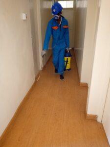 PEST CONTROL SERVICES IN NAKURU, FUMIGATION SERVICES IN NAKURU, BEDBUGS CONTROL SERVICES IN NAKURU, TERMITE CONTROL SERVICES IN NAKURU, COCKROACHES CONTROL SERVICES IN NAKURU, ANTS CONTROL SERVICES IN NAKURU, BEES CONTROL SERVICES IN NAKURU, WASPS CONTROL SERVICES IN NAKURU, FUMIGATION OF ANTS IN NAKURU, FUMIGATION OF COCKROCHES IN NAKURU, FUMIGATION OF BED BUGS IN NAKURU, FUMIGATION OF BEES IN NAKURU, FUMIGATION OF BEES IN NAKURU, FUMIGATION OF TERMITES IN NAKURU, FUMIGATION OF WASPS IN NAKURU, PEST CONTROL SERVICES IN KAKAMEGA, FUMIGATION SERVICES IN KAKAMEGA, BEDBUGS CONTROL SERVICES IN KAKAMEGA, TERMITE CONTROL SERVICES IN KAKAMEGA, COCKROACHES CONTROL SERVICES IN KAKAMEGA, ANTS CONTROL SERVICES IN KAKAMEGA, BEES CONTROL SERVICES IN KAKAMEGA, WASPS CONTROL SERVICES IN KAKAMEGA, FUMIGATION OF ANTS IN KAKAMEGA, FUMIGATION OF COCKROCHES IN KAKAMEGA, FUMIGATION OF BED BUGS IN KAKAMEGA, FUMIGATION OF BEES IN KAKAMEGA, FUMIGATION OF BEES IN KAKAMEGA, FUMIGATION OF TERMITES IN KAKAMEGA, FUMIGATION OF WASPS IN KAKAMEGA, PEST CONTROL SERVICES IN NANYUKI, FUMIGATION SERVICES IN NANYUKI, BEDBUGS CONTROL SERVICES IN NANYUKI, TERMITE CONTROL SERVICES IN NANYUKI, COCKROACHES CONTROL SERVICES IN NANYUKI, ANTS CONTROL SERVICES IN NANYUKI, BEES CONTROL SERVICES IN NANYUKI, WASPS CONTROL SERVICES IN NANYUKI, FUMIGATION OF ANTS IN NANYUKI, FUMIGATION OF COCKROCHES IN NANYUKI, FUMIGATION OF BED BUGS IN NANYUKI, FUMIGATION OF BEES IN NANYUKI, FUMIGATION OF BEES IN NANYUKI, FUMIGATION OF TERMITES IN NANYUKI, FUMIGATION OF WASPS IN NANYUKI, PEST CONTROL SERVICES IN KWALE , FUMIGATION SERVICES IN KWALE , BEDBUGS CONTROL SERVICES IN KWALE , TERMITE CONTROL SERVICES IN KWALE , COCKROACHES CONTROL SERVICES IN KWALE , ANTS CONTROL SERVICES IN KWALE , BEES CONTROL SERVICES IN KWALE , WASPS CONTROL SERVICES IN KWALE , FUMIGATION OF ANTS IN KWALE , FUMIGATION OF COCKROCHES IN KWALE , FUMIGATION OF BED BUGS IN KWALE , FUMIGATION OF BEES IN KWALE , FUMIGATION OF BEES IN KWALE , FUMIGATION OF TERMITES IN KWALE , FUMIGATION OF WASPS IN KWALE.