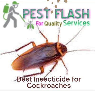 The Best Pesticide for Cockroach Control in Kenya, cockroach control insecticide, Cockroach treatment Kenya, The Best Pesticide for Cockroach Control in Kenya, Best Pesticides for cockroaches in kenya, How to control cockroaches in kenya, Goliath gel insecticides, Best Cockroach Pesticides in kenya, Best Cockroach Control Insecticides in kenya, The Best Pesticide for Cockroach Control in Kenya, Best Pesticide for Cockroach Control in Kenya, Cockroach Control, Cockroach Control in Kenya, Natural Pesticide for Cockroach Control, Safe Pesticide for Cockroach Control, best cockroach killer kenya, cockroach killer spray, best cockroach killer spray, best cockroach killer spray in kenya, best cockroach killer chemical, best professional roach spray, Cockroach pesticide in Kenya, cockroach killer powder, best cockroach killer in Kenya, Best Cockroach Killer in Nairobi, best pesticide for cockroach control in Kenya, cockroach control in Kenya, Kenya cockroach control, cockroach control Kenya, cockroach control pesticide in Kenya, best cockroach control in Kenya, Kenya cockroach control pesticide,cockroach control Kenya, best pesticide for cockroaches, natural ingredients for cockroaches, fast-acting cockroach control, long-lasting cockroach control, cockroach control barrier, Cockroach control Kenya, Best pest control Kenya, Cockroach control products Kenya, Pesticide for cockroach control Kenya, Professional pest control Kenya, Cockroach killer Kenya, Cockroach pest control Kenya, Natural cockroach control Kenya, Cockroach treatment Kenya, Cockroach spray Kenya