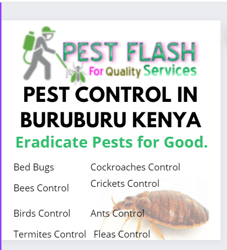 PEST CONTROL SERVICES IN BURUBURU NAIROBI. BEDBUGS CONTROL IN BURUBURU, BEES REMOVAL SERVICES IN BURUBURU,BEDBUGS COCKRACHES CONTROL SERVICES INSECTICIDES IN EASTLEIGH NAIROBI KENYA. FUMIGATION IN EASTLEIGH. PEST CONTROL IN EASTLEIGH 0719405401