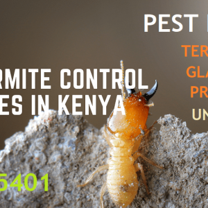 termite control pesticides in kenya