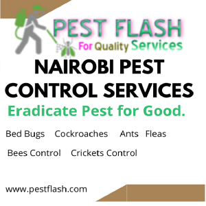 Nairobi Pest Services, Nairobi Pest Control Services, Nairobi Fumigation Services, Nairobi Pest Control, pest control services Nairobi