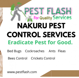 Nakuru Pest Control Services