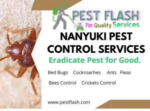 Nanyuki Pest Control