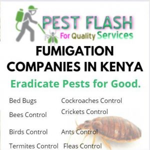fumigation companies in Kenya