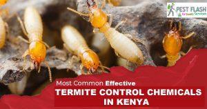 Termite Control Chemical in Kenya, Termite control chemicals, termite control pesticides