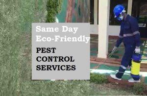 fumigation pest control services, pest controller, pest eradicators