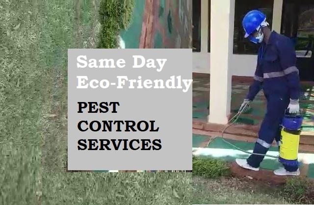 fumigation pest control services, pest controller, pest eradicators, pest control, bed bugs control, snakes control, cockroaches control, bees control