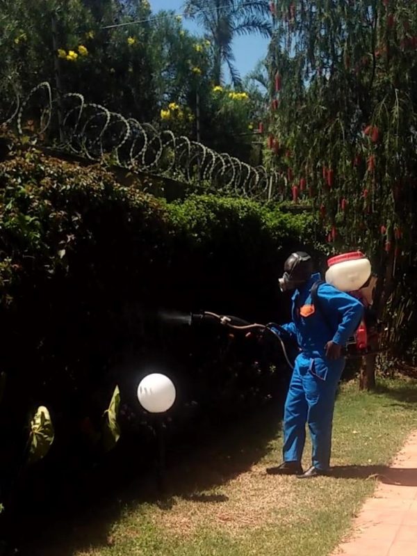  1 Best Pest Control Services Near Me 2023