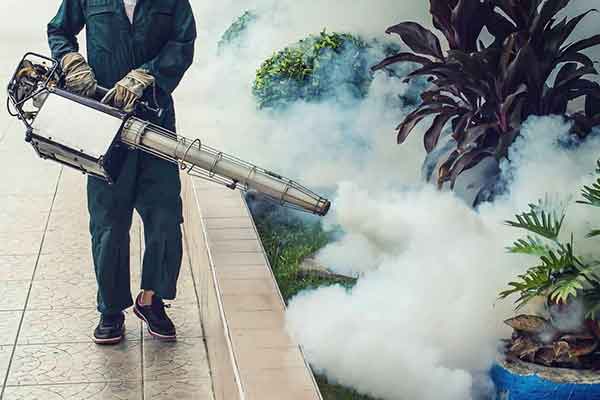 Fumigation services, Pest Control Services in Kenya, fumigation services in Kenya, pest control, pest control companies in Kenya, fumigation companies in Kenya