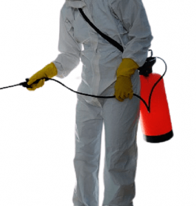 residential pest control services, residential fumigation services, residential pest control, Residential fumigation services in Kenya, Residential fumigation companies in Kenya, Residential fumigation cost in Kenya, Residential fumigation methods in Kenya, Residential fumigation chemicals in Kenya, Residential fumigation, pest control, pest control companies in kenya