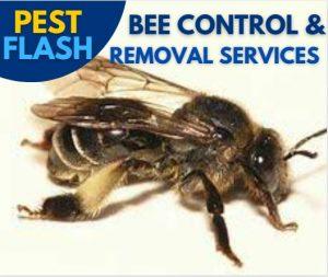 Bee Control Kenya, Bee Removal Kenya, Bee Extermination Kenya, Bee Pest Control Kenya, Bee Infestation Kenya, Bee Fumigation Kenya, Bee Pest Management Kenya, Bee Problem Solving Kenya, Bee Removal Services Kenya, Bee Prevention Kenya, Bees Control Services in Kenya, How to Get Rid of Bees