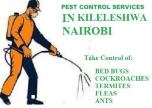 fumigation services in Kileleshwa Nairobi, pest control services in Kileleshwa Nairobi, pest control kileleshwa
