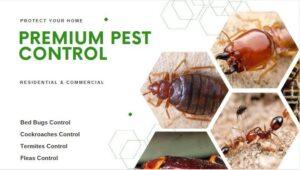 fumigation services in Karen Nairobi, pest control in Karen, fumigation in Karen Nairobi