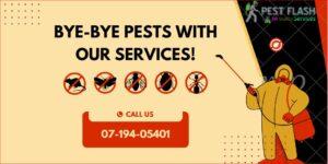fumigation services Ongata Rongai, cockroach control in rongai, bed bug control rongai, pesticides ongata rongai, pest control services in Ongata Rongai, pest control ongata Rongai, Pest control near ongata Rongai, Pest control Rongai, fumigation in Rongai, fumigation services in Rongai, fumigation services near Rongai, fumigation services in rongai Nairobi, fumigator near Rongai, fumigators near ongata Rongai, Pest controller near ongata Rongai, Pest controllers in Rongai, Pest controller near Rongai, Pest control company near Rongai, Pest control rongai nairobi