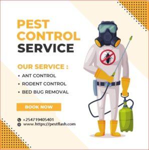 pest control services in Kenya, fumigation services in Kenya, pest control, pest control in Kenya, fumigation in Kenya