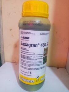 Basagran 480 SL herbicide, Basagran 480 SL label, Basagran 480 SL MSDS, Basagran 480 SL dosage, Basagran 480 SL application, Basagran 480 SL mode of action, Basagran 480 SL weed control, Basagran 480 SL safety precautions, Basagran 480 SL price, Basagran 480 SL availability, Basagran 480 SL, Basagran 480, Basagran 480 SL herbicide, beans herbicide, Basagran 480 reviews, how to use Basagran 480, pricing for Basagran 480, where to buy Basagran 480, Basagran 480 ingredients, Basagran 480 effectiveness, crop protection herbicide, weed control for beans, Basagran product information, uses of Basagran 480 SL, application method for Basagran herbicide, safety precautions for using Basagran, selective herbicides for beans and maize, herbicides for legumes and corn, weed control solutions for beans and maize, selective weed killer for corn and beans, effective herbicide options for beans and maize