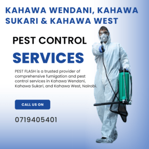 pest control in kahawa wendani, pest control in kahawa wendani contacts, pest control services Kahawa Wendani, professional pest exterminators in Kahawa Sukari, best pest control companies in Kahawa West Nairobi, affordable pest management solutions in Kahawa, rat and mice control services near Kahawa Wendani, termite treatment in Kahawa Sukari, cockroach extermination Kahawa West, pest inspection and prevention in Kahawa Nairobi, pest control Kahawa Wendani, fumigation services Kahawa Sukari, pest exterminator Kahawa West, Kahawa Wendani pest management, Kahawa Sukari fumigation companies, pest control services in Kahawa, pest control services in Kahawa Sukari, pest control services in Kahawa West, fumigation services in Kahawa, fumigation services in Kahawa Sukari, fumigation services in Kahawa West, fumigation services in Kahawa Wendani,