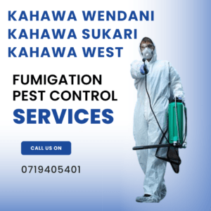 pest control in kahawa wendani, pest control in kahawa wendani contacts, pest control in kahawa wendani contacts, pest control services Kahawa Wendani, professional pest exterminators in Kahawa Sukari, best pest control companies in Kahawa West Nairobi, affordable pest management solutions in Kahawa, rat and mice control services near Kahawa Wendani, termite treatment in Kahawa Sukari, cockroach extermination Kahawa West, pest inspection and prevention in Kahawa Nairobi, pest control Kahawa Wendani, fumigation services Kahawa Sukari, pest exterminator Kahawa West, Kahawa Wendani pest management, Kahawa Sukari fumigation companies, pest control services in Kahawa, pest control services in Kahawa Sukari, pest control services in Kahawa West, fumigation services in Kahawa, fumigation services in Kahawa Sukari, fumigation services in Kahawa West, fumigation services in Kahawa Wendani,