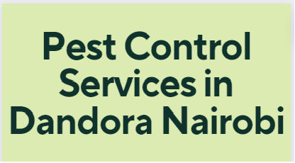 fumigation services in Dandora, pest control services in Dandora, pest control in Dandora, pest control services in Dandora Kenya, fumigation services in Dandora, fumigation services in Dandora Kenya, Dandora pest control services, pest control services in Dandora Dandora, pest control services in Dandora, pest control services in Dandora Dandora Kenya,pest control services in Dandora Kenya, fumigators in Dandora, Dandora fumigation services, pest control, fumigation in Dandora, cockroach control in Dandora, bed bugs control in Dandora, snakes control in Dandora, ants control in Dandora,fleas control in Dandora, fumigation services in Dandora, pest control services in Dandora, pest exterminators in Dandora, pest management companies in Dandora, rodent control services in Dandora, termite control services in Dandora, bed bug extermination services in Dandora, insect control services in Dandora, residential pest control services in Dandora, commercial pest control services in Dandora, Dandora pest control companies, professional pest control services in Dandora, eco-friendly pest control services in Dandora, reliable pest control services in Dandora, effective pest control solutions in Dandora, pest inspection services in Dandora, pest prevention services in Dandora, Dandora fumigation companies, professional fumigation services in Dandora, certified fumigation services in Dandora, structural fumigation services in Dandora, Dandora fumigation and pest control services,