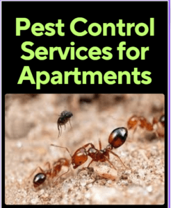 pest control for apartments and townhouses, pest control apartment, pest control for apartments near me, apartment pest control company, apartment pest control, where does pest control spray in apartments, where does pest control spray in apartments, apartment fumigation cost