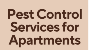 Pest control services in apartments, best pest control for apartments, Apartment Pest control companies in Kenya, Apartment pest control solutions, Pest control products for apartments, Affordable pest control for apartments, Cockroach control in apartments, Bed bug extermination services in apartments, Rodent control for apartments, Ant control in apartments, Fumigation services for apartments in Kenya,