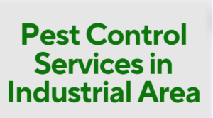 pest control services in Industrial Area, pest control services in Industrial Area Nairobi, fumigation services in Industrial Area nairobi, Industrial Area pest control services, pest control services in Industrial Area nairobi, pest control services in Industrial Area, pest control services in Industrial Area nairobi Kenya, pest control services in Industrial Area Kenya, fumigators in Industrial Area, Industrial Area fumigation services, pest control, fumigation in Industrial Area, Fumigation services in Industrial Area Nairobi, pest control services, insect extermination services, bed bugs removal services in Industrial Area