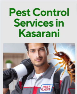 pest control in Kasarani, pest control services in Kasarani, pest control services in Kasarani, fumigation services in Kasarani, Kasarani pest control services, pest control services in Kasarani, pest control services in Kasarani, pest control services in Kasarani Kenya, fumigators in Kasarani, pest control services in Kasarani Kenya, fumigators in Kasarani, Kasarani fumigation services, pest control, fumigation in Kasarani, Fumigation services in Kasarani , pest control services, insect extermination services, bed bugs removal services, pest management services, residential fumigation services, commercial fumigation services in Kasarani, rodent control services in Kasarani, termite control services in Kasarani, mosquito control services in Kasarani, cockroach control services in Kasarani, pest eradication in Kasarani, pest treatment services in Kasarani, home fumigation services near Kasarani, professional fumigation services in Kasarani, local fumigation services in Kasarani, affordable fumigation services in Kasarani, hygienic fumigation services in Kasarani, eco-friendly fumigation services in Kasarani, Kasarani , fumigators in Kasarani, fumigation services in Kasarani  contacts, pest control services in Kasarani, fumigation services in Kasarani, Kasarani pest control services