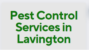 pest control services in Lavington, pest control services in Lavington , fumigation services in Lavington , Lavington pest control services, pest control services in Lavington, pest control services in Lavington, pest control services in Lavington Kenya, pest control services in Lavington Kenya, fumigators in Lavington, Lavington fumigation services, pest control, fumigation in Lavington, Fumigation services in Lavington , pest control services, insect extermination services, bed bugs removal services, pest management services, residential fumigation services, commercial fumigation services in Lavington, rodent control services in Lavington