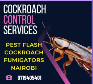 cockroach control services, cockroach control services in Kenya, cockroach fumigation nairobi, cockroach fumigation near me, cockroach fumigation services nairobi, effective cockroach killer kenya, cockroaches kenya, cockroach control services in Kenya, roach control, cockroach fumigation