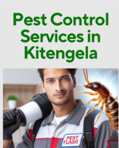 commercial pest control services in Kitengela, Kitengela pest control companies, professional pest control services in Kitengela, eco-friendly pest control services in Kitengela, reliable pest control services in Kitengela, effective pest control solutions in Kitengela, pest inspection services in Kitengela, pest prevention services in Kitengela, Kitengela fumigation companies, professional fumigation services in Kitengela, certified fumigation services in Kitengela, structural fumigation services in Kitengela, Kitengela fumigation and pest control services, Pest Control Services in Kitengela, Fumigation Services in Kitengela, Pest Control Companies in Kitengela, Pest Extermination in Kitengela, Fumigation Companies in Kitengela, Rodent Control in Kitengela, Bed Bug Treatment in Kitengela, Termite Control in Kitengela, Mosquito Control in Kitengela, Pest Control Near Me in Kitengela, Professional Pest Control Services in Kitengela, Commercial Fumigation Services in Kitengela, Residential Pest Control Services in Kitengela, Pest Control Services Prices in Kitengela, Organic Pest Control in Kitengela, Pest Control Specialists in Kitengela, Industrial Fumigation Services in Kitengela, Fumigation Cost in Kitengela, Pest Control Kitengela, Fumigation Services Kitengela, Pest Exterminator Kitengela, Rodent Control Kitengela, Commercial Pest Control Kitengela, Termite Control Kitengela, Bed Bug Treatment Kitengela, Insect Control Kitengela, Fumigation Cost Kitengela, Pest Control Companies Kitengela