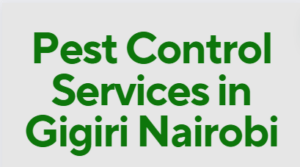 pest control in Gigiri, pest control services in Gigiri, pest control services in Gigiri, fumigation services in Gigiri, Gigiri pest control services, pest control services in Gigiri, pest control services in Gigiri, pest control services in Gigiri Kenya, fumigators in Gigiri, pest control services in Gigiri Kenya, fumigators in Gigiri, Gigiri fumigation services, pest control, fumigation in Gigiri, Fumigation services in Gigiri , pest control services, insect extermination services, bed bugs removal services, pest management services, residential fumigation services, commercial fumigation services in Gigiri, rodent control services in Gigiri, termite control services in Gigiri, mosquito control services in Gigiri, cockroach control services in Gigiri, pest eradication in Gigiri, pest treatment services in Gigiri, home fumigation services near Gigiri, professional fumigation services in Gigiri, local fumigation services in Gigiri, affordable fumigation services in Gigiri, hygienic fumigation services in Gigiri, eco-friendly fumigation services in Gigiri, Gigiri , fumigators in Gigiri, fumigation services in Gigiri contacts, pest control services in Gigiri, fumigation services in Gigiri, Gigiri pest control services, pest control services in Gigiri, pest control services in Gigiri, pest control services in Gigiri Kenya, pest control in Gigiri Kenya, fumigators in Gigiri, Gigiri fumigation services, pest control, fumigation in Gigiri, cockroach control in Gigiri, bed bugs control in Gigiri, snakes control in Gigiri, ants control in Gigiri, fleas control in Gigiri, fumigation services in Gigiri, pest control services in Gigiri, pest exterminators in Gigiri