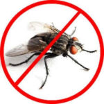 Flies control in Kenya, How to get rid of flies in Kenya, Fly repellents in Kenya, Best fly control methods in Kenya, Natural ways to control flies in Kenya, Fly traps in Kenya, Flies exterminators in Kenya, Fly infestation solutions in Kenya, DIY flies control in Kenya, Commercial flies control services in Kenya, flies control, flies control services, flies control near me, fly control, fly control services, moths control, house fly control, fumigation flies, Fly control methods, Fly control products, Fly traps Kenya, Fly repellent Kenya, Fly spray Kenya, Fly infestation control, Fly control services, Natural fly control, DIY fly control, Fly control companies Kenya, Flies management, Flies prevention, Fly infestation, Flies eradication, Insect control, Fly control methods, Fly breeding grounds, Health risks of flies, Importance of fly control, Pest control services Kenya, Fly traps, Chemical control for flies, Fly control companies, DIY fly control, Fly control in homes, Fly control in restaurants, Fly control in hospitals, Organic fly control methods, Fly control products Kenya, Professional fly control services