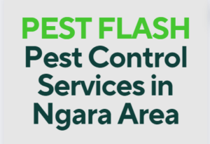 pest control in Ngara Nairobi, pest control in Ngara, pest control services in Ngara, fumigation services in Ngara, Ngara pest control services, pest control services in Ngara Kenya, fumigators in Ngara, Ngara fumigation services, pest control, fumigation in Ngara, Fumigation services in Ngara , pest control services, insect extermination services, bed bugs removal services, pest management services, residential fumigation services, commercial fumigation services in Ngara, rodent control services in Ngara, termite control services in Ngara, mosquito control services in Ngara, cockroach control services in Ngara, pest eradication in Ngara, pest treatment services in Ngara, home fumigation services near Ngara, professional fumigation services in Ngara, local fumigation services in Ngara, affordable fumigation services in Ngara, hygienic fumigation services in Ngara, eco-friendly fumigation services in Ngara, Ngara , fumigation services in Ngara contacts, pest control in Ngara Kenya, cockroach control in Ngara, bed bugs control in Ngara, snakes control in Ngara, ants control in Ngara, fleas control in Ngara, pest exterminators in Ngara, pest management companies in Ngara, bed bug extermination services in Ngara, insect control services in Ngara, residential pest control services in Ngara, commercial pest control services in Ngara, Ngara pest control companies, professional pest control services in Ngara, eco-friendly pest control services in Ngara, reliable pest control services in Ngara, effective pest control solutions in Ngara, pest inspection services in Ngara, pest prevention services in Ngara, Ngara fumigation companies, certified fumigation services in Ngara, structural fumigation services in Ngara, Ngara fumigation and pest control services, Pest Control Services in Ngara, Fumigation Services in Ngara, Pest Control Companies in Ngara, Pest Extermination in Ngara, Fumigation Companies in Ngara, Rodent Control in Ngara, Bed Bug Treatment in Ngara, Termite Control in Ngara, Mosquito Control in Ngara, Pest Control Near Me in Ngara, Professional Pest Control Services in Ngara, Commercial Fumigation Services in Ngara, Residential Pest Control Services in Ngara, Pest Control Services Prices in Ngara, Organic Pest Control in Ngara, Pest Control Specialists in Ngara, Industrial Fumigation Services in Ngara, Fumigation Cost in Ngara, Pest Control Ngara, Fumigation Services Ngara, Pest Exterminator Ngara, Rodent Control Ngara, Commercial Pest Control Ngara, Termite Control Ngara, Bed Bug Treatment Ngara, Insect Control Ngara, Fumigation Cost Ngara, Pest Control Companies Ngara, pest control services in Ngara contact number