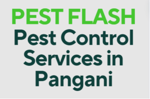 pest control in Pangani, pest control services in Pangani, fumigation services in Pangani, Pangani pest control services, pest control services in Pangani Kenya, fumigators in Pangani, Pangani fumigation services, pest control, fumigation in Pangani, Fumigation services in Pangani , pest control services, insect extermination services, bed bugs removal services, pest management services, residential fumigation services, commercial fumigation services in Pangani, rodent control services in Pangani, termite control services in Pangani, mosquito control services in Pangani, cockroach control services in Pangani, pest eradication in Pangani, pest treatment services in Pangani, home fumigation services near Pangani, professional fumigation services in Pangani, local fumigation services in Pangani, affordable fumigation services in Pangani, hygienic fumigation services in Pangani, eco-friendly fumigation services in Pangani, Pangani , fumigation services in Pangani contacts, pest control in Pangani Kenya, cockroach control in Pangani, bed bugs control in Pangani, snakes control in Pangani, ants control in Pangani, fleas control in Pangani, pest exterminators in Pangani, pest management companies in Pangani, bed bug extermination services in Pangani, insect control services in Pangani, residential pest control services in Pangani, commercial pest control services in Pangani, Pangani pest control companies, professional pest control services in Pangani, eco-friendly pest control services in Pangani, reliable pest control services in Pangani, effective pest control solutions in Pangani, pest inspection services in Pangani, pest prevention services in Pangani, Pangani fumigation companies, certified fumigation services in Pangani, structural fumigation services in Pangani, Pangani fumigation and pest control services, Pest Control Services in Pangani, Fumigation Services in Pangani, Pest Control Companies in Pangani, Pest Extermination in Pangani, Fumigation Companies in Pangani, Rodent Control in Pangani, Bed Bug Treatment in Pangani, Termite Control in Pangani, Mosquito Control in Pangani, Pest Control Near Me in Pangani, Professional Pest Control Services in Pangani, Commercial Fumigation Services in Pangani, Residential Pest Control Services in Pangani, Pest Control Services Prices in Pangani, Organic Pest Control in Pangani, Pest Control Specialists in Pangani, Industrial Fumigation Services in Pangani, Fumigation Cost in Pangani, Pest Control Pangani, Fumigation Services Pangani, Pest Exterminator Pangani, Rodent Control Pangani, Commercial Pest Control Pangani, Termite Control Pangani, Bed Bug Treatment Pangani, Insect Control Pangani, Fumigation Cost Pangani, Pest Control Companies Pangani, pest control services in Pangani contact number