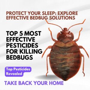 The Best Pesticides for Killing Bedbugs, Top 5 Most Effective Pesticides for Killing Bedbugs, bedbugs insecticide in Kenya, bedbug insecticide