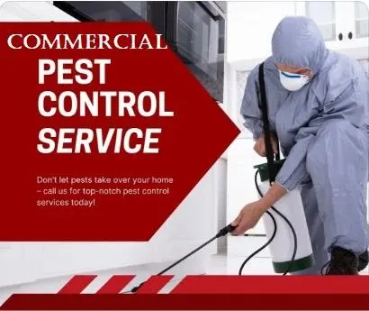 pest control companies in Kenya, Pest Control Company in Nairobi Kenya, Bed Bugs Control Company, Cockroaches Control Company, Bees Control Company, Termites Control Company, Pest Control Company Near me