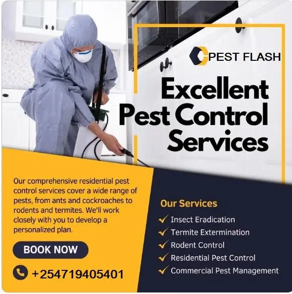 cheap pest control nairobi, pest control companies in nairobi, professional pest control nairobi, reliable pest control nairobi, effective pest control nairobi, experienced exterminators nairobi, emergency exterminators nairobi, local exterminators nairobi, residential exterminators nairobi, eco-friendly pest management nairobi, commercial pest management nairobi, integrated pest management nairobi, pest management solutions nairobi, safe pest eradication nairobi, quick pest eradication nairobi, affordable pest eradication nairobi, proven pest eradication nairobi, cheap pest control nairobi, reliable pest control nairobi,