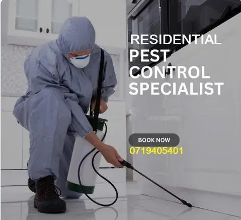 residential pest control services in Kenya, residential pest control services, residential fumigation services, residential pest control, Residential fumigation services in Kenya, Residential fumigation companies in Kenya, Residential fumigation cost in Kenya, Residential fumigation methods in Kenya, Residential fumigation chemicals in Kenya, Residential fumigation, pest control, pest control companies in kenya