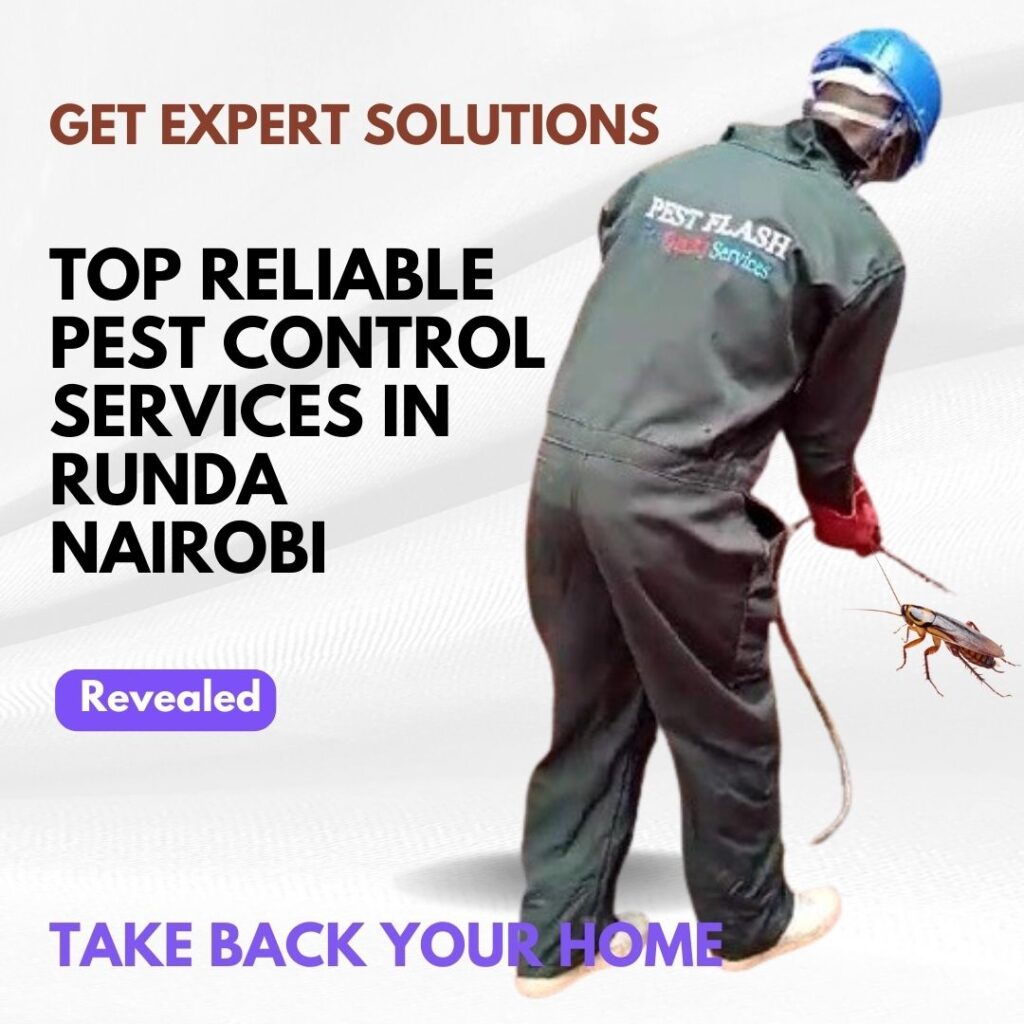 Residential pest control in Runda, Commercial pest control in Runda, Emergency pest control in Runda, Rodent control in Runda, Termite control in Runda, Bed bug treatment in Runda, Cockroach control in Runda, Flea and tick treatment in Runda, Mosquito control services in Runda, Integrated pest management in Runda, Eco-friendly pest control in Runda, Local pest control services Runda, Pest inspection services in Runda, Pest extermination in Runda, Pest prevention services in Runda, pest control services in runda contacts