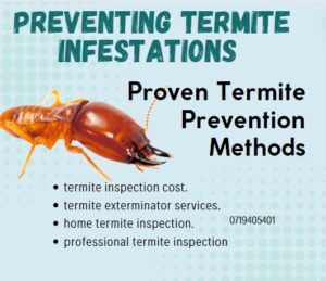 preventing termites in new homes, how to prevent termites in home, prevent termite infestation, prevent termite damage, what causes termite infestation, trusted termite inspection services, experienced termite removal experts, effective termite control solutions, affordable termite inspections, comprehensive termite inspection services